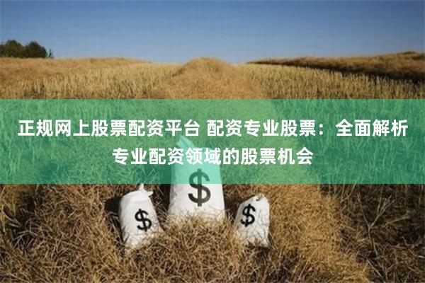 正规网上股票配资平台 配资专业股票：全面解析专业配资领域的股票机会