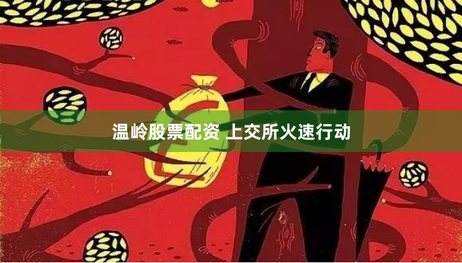 温岭股票配资 上交所火速行动