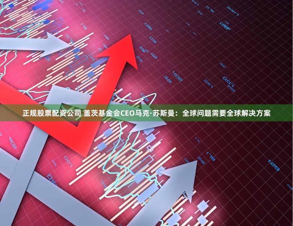 正规股票配资公司 盖茨基金会CEO马克·苏斯曼：全球问题需要全球解决方案