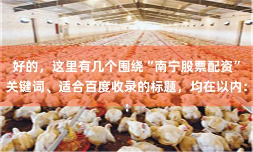 好的，这里有几个围绕“南宁股票配资”关键词、适合百度收录的标题，均在以内：