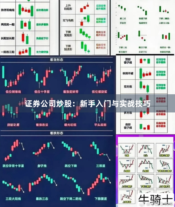证券公司炒股：新手入门与实战技巧
